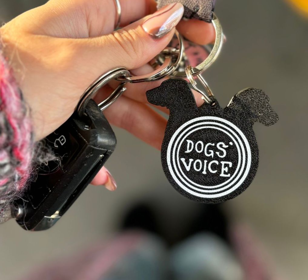 DV Key Chain