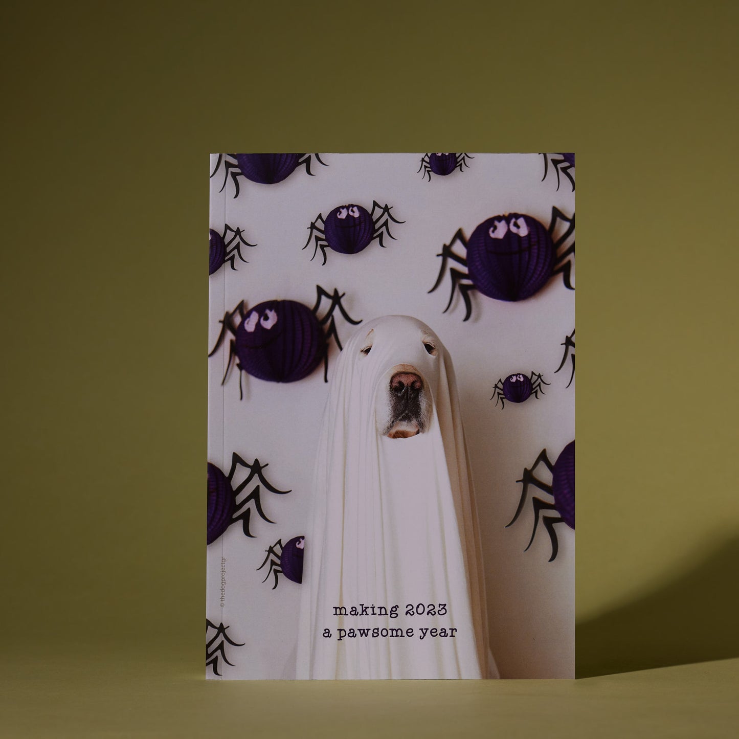 Peek a Boo 2023 Diary