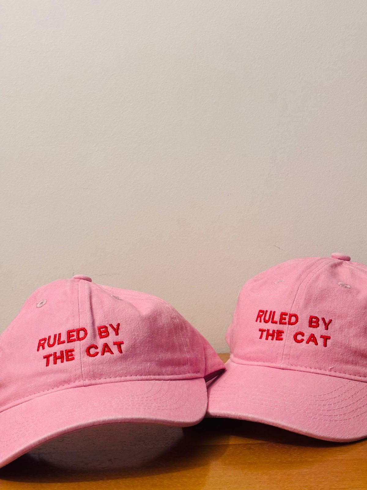 The cat person hat